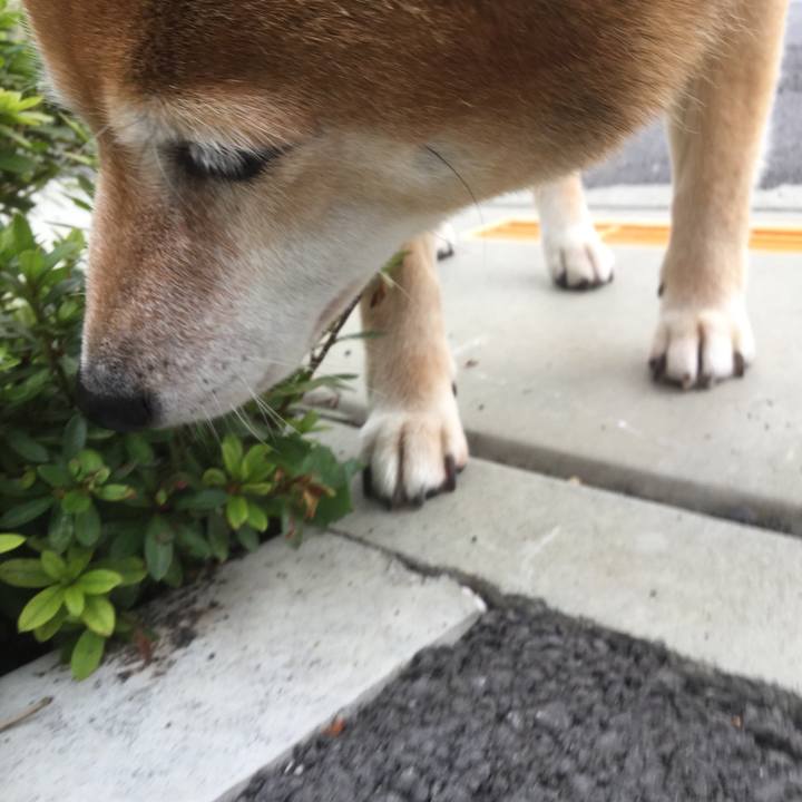 8681b753 fe09 4def aaa3 8527da5ad6a5 1602563681755