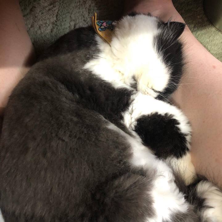 8681bec2 adee 4298 b954 19ee610b68e0 1654417583088