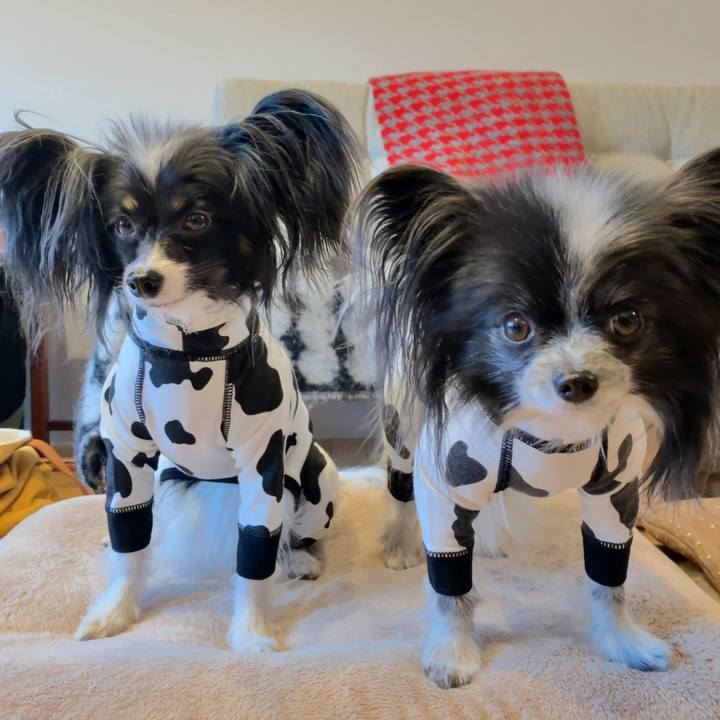 8681fb82 92df 4ada 9edd 029584f5b7fd 1580769751425