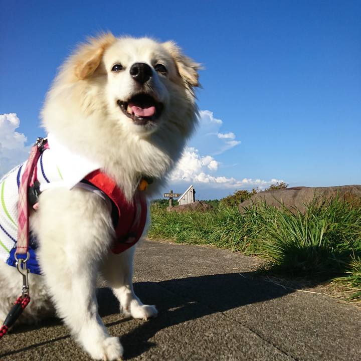 86827aed 1c09 4829 b1ab cef4b4b17f4d 1534923792257