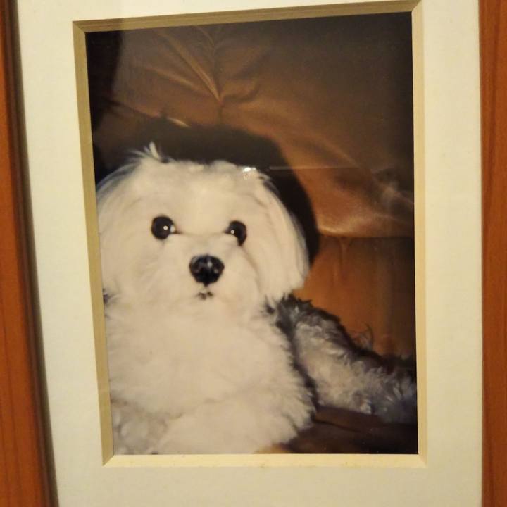 8682c6ff cbd6 4e78 8eba 7e65af59095b 1609410335794