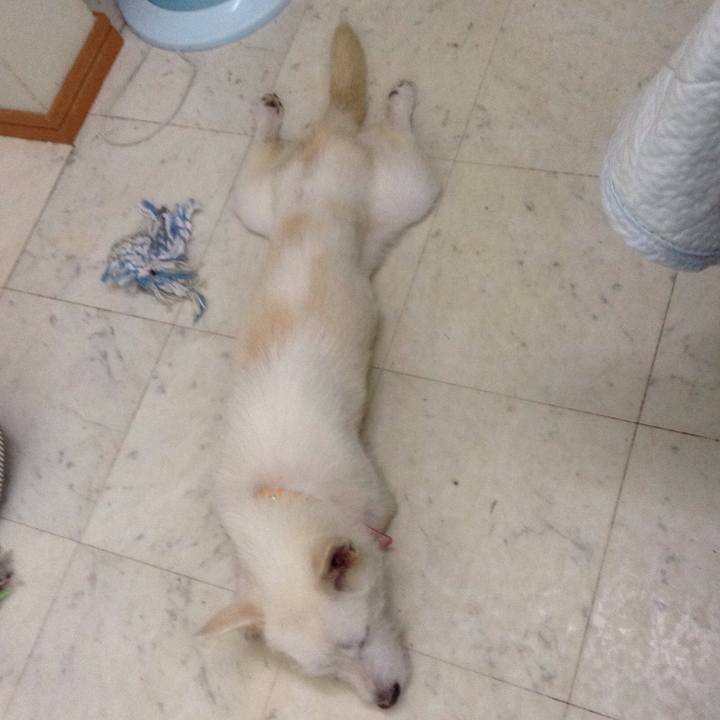 8682f07c 89ff 4119 a299 feba9a490ce8 1533777296463