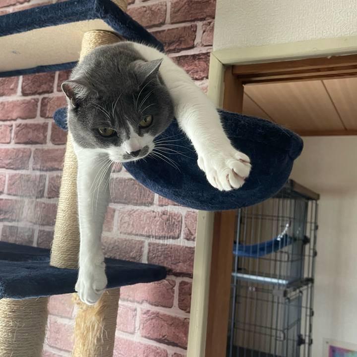 868324c4 3c06 4450 b8f3 8375cf14e8f1 1673937070554