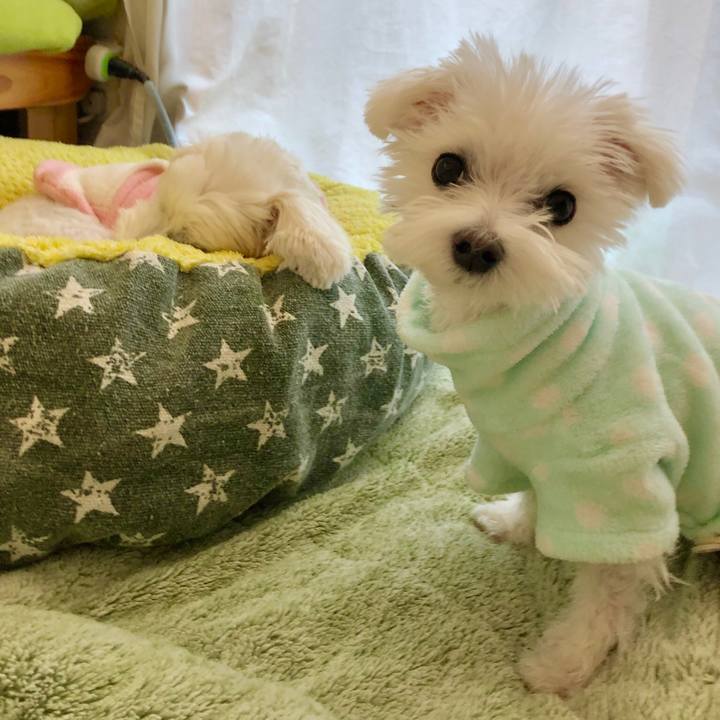 86832d1b 28fe 43ba 9752 8d65b102d064 1548048224599