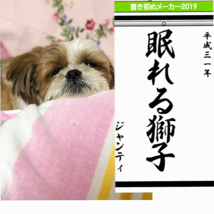 86833265 96c8 4edd 8434 594d40fa0588 1546407222103