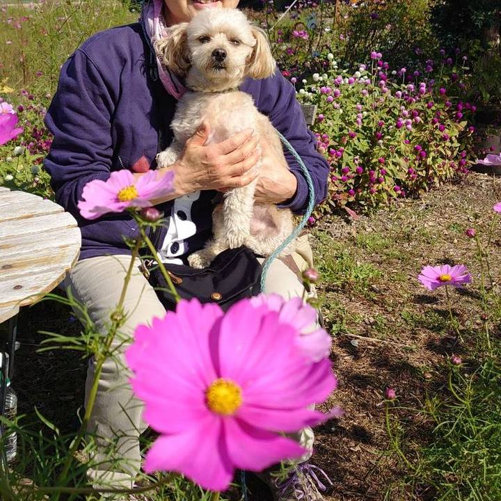 86834961 e6bc 45d6 9556 c57495a3c705 1635568990570