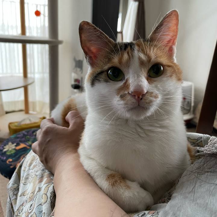 8683516b 1408 49a5 9afc d0a247f362f9 1661470444296