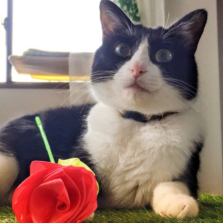 868367fb db5e 4560 b10c 1bead4896778 1514439006228