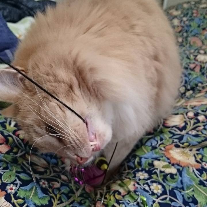 86836ca4 e5fa 4f32 b869 0f91f4c6e1ff 1508370793048