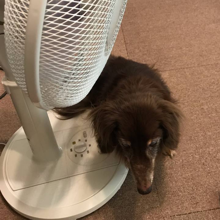 86837618 bec0 45f1 95d6 4a953ee0aa30 1565138689546