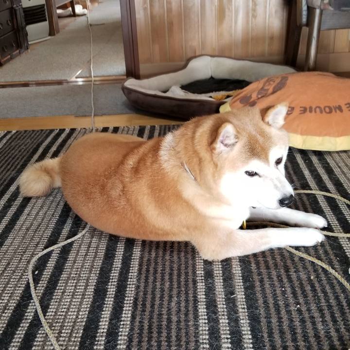 86837a90 986f 4b29 84a5 2be0341f64cc 1633916007475