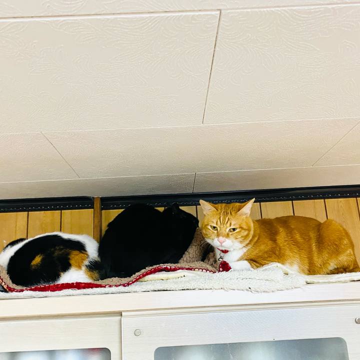 868385d7 baa6 4fb5 9cb0 0dd54b4fcfc1 1700082373737