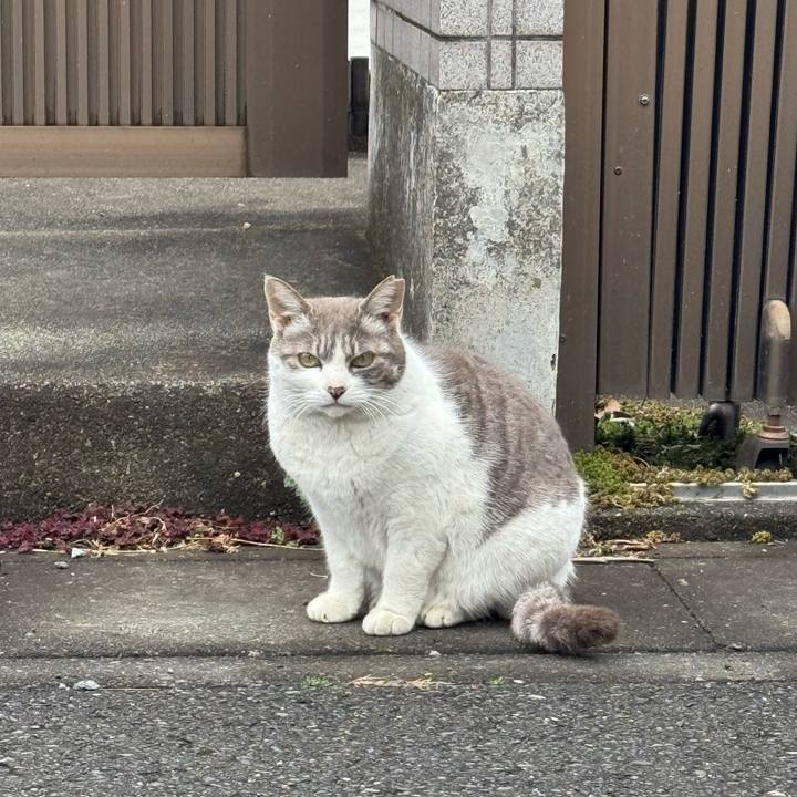 8683a8ed 6ee5 4cb9 9d31 29bda7826d3c 1772073431750