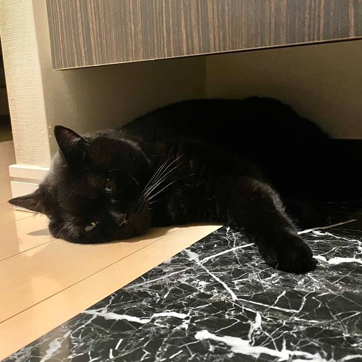 8683c243 e83b 4d08 88c8 d168bb753ded 1759151608498