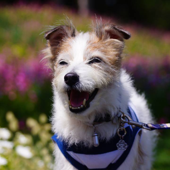 8683e3f3 9d37 4895 8750 d5fa225bb00c 1588338634955