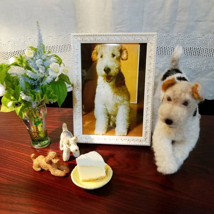 868410bc 03ab 4b53 87ce a08e326af679 1589551927972