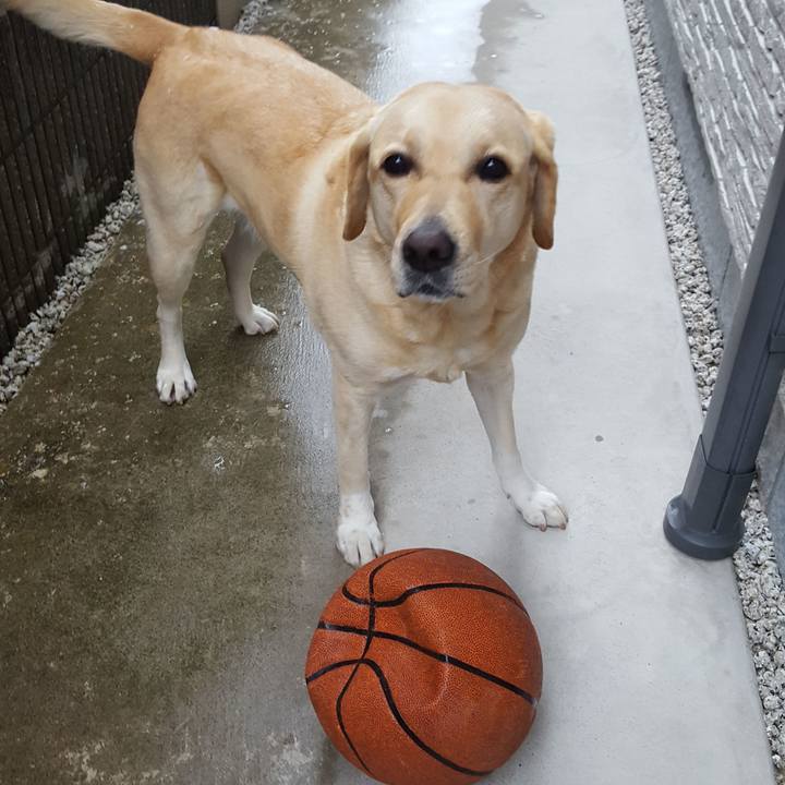 86841b1c 29c6 48b8 b3fe a6dbc7ad01d8 1514340286904