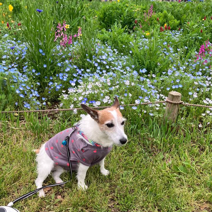 86848de2 84fb 4d5b 9013 57590d12e21b 1714264038827