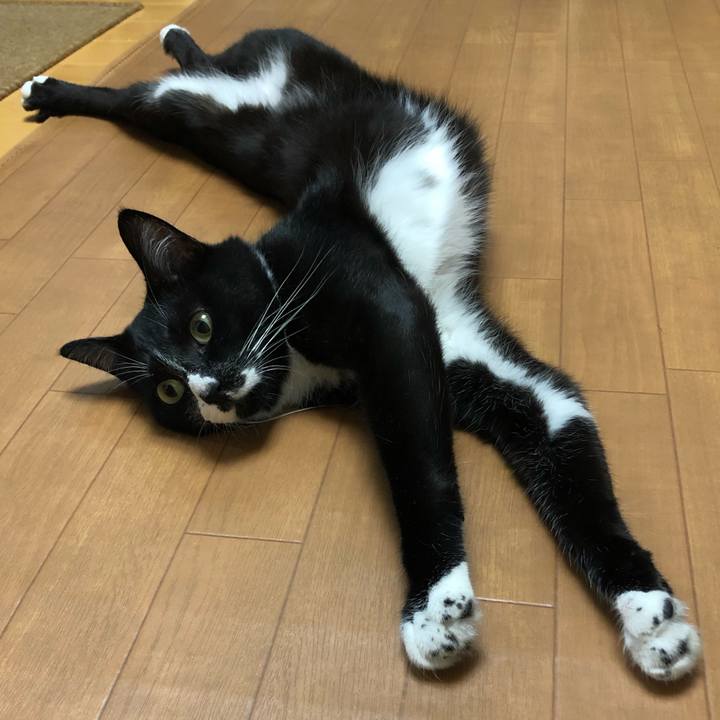 8684b268 6329 4651 b009 6ee98a17a8d6 1569226945495