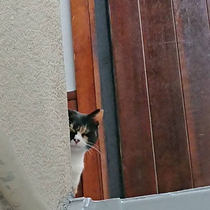 8684b586 a42b 4a00 9f35 806d7f0bc204 1526427105201