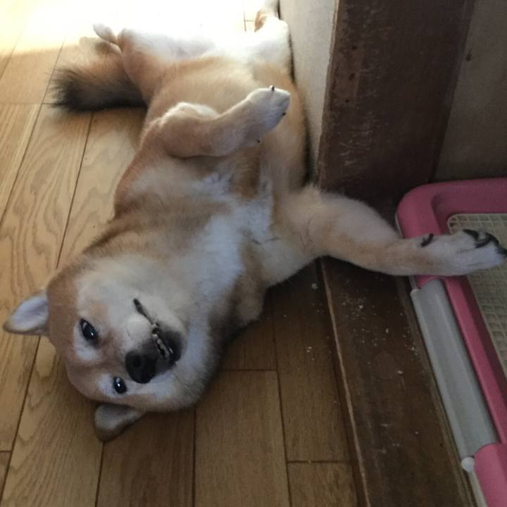 8684b7fd 091d 47fe ab0b b70b2c0e5840 1565048881391