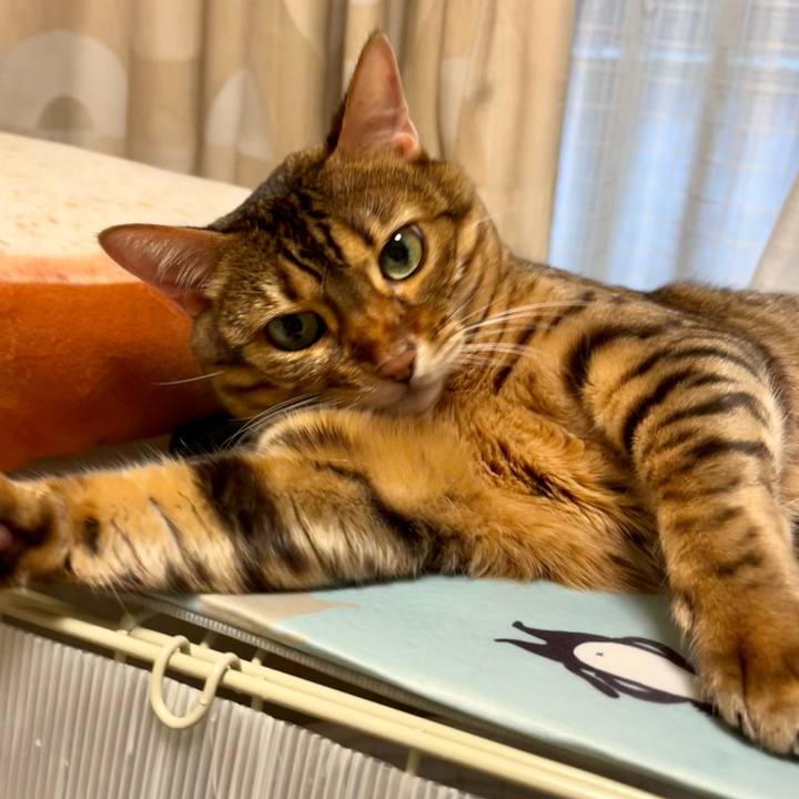 8684eb34 ed81 48c2 8406 922268e331ff 1661850434120