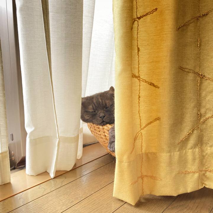 86856cbd c0a3 4373 b6ce 9165b16281d9 1627970796361