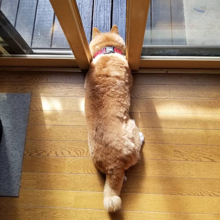 86858447 6c08 4c2e a8ae 3f7ce494aab6 1737254043036