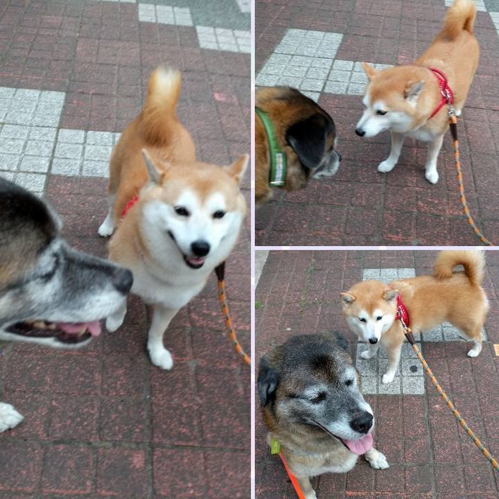 8685a1d5 6f67 4b01 af78 58ebe55c731c 1530183662360