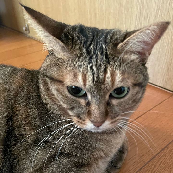 8685b343 659d 4c84 a523 cfc8a5877aa3 1694834369797