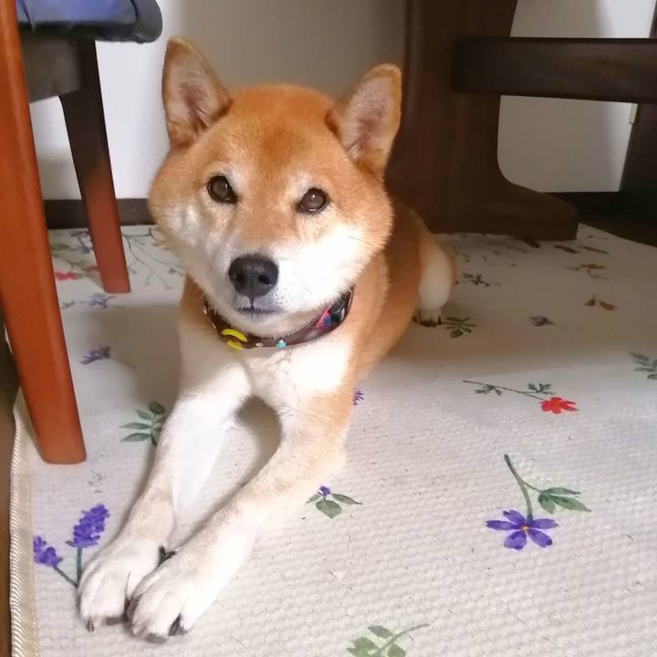 8685c00c f788 4a08 b769 763a7bc95824 1661691205464