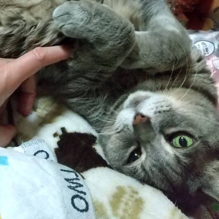 8685fa0a 6628 4d30 949d 1229bad41526 1643045284937