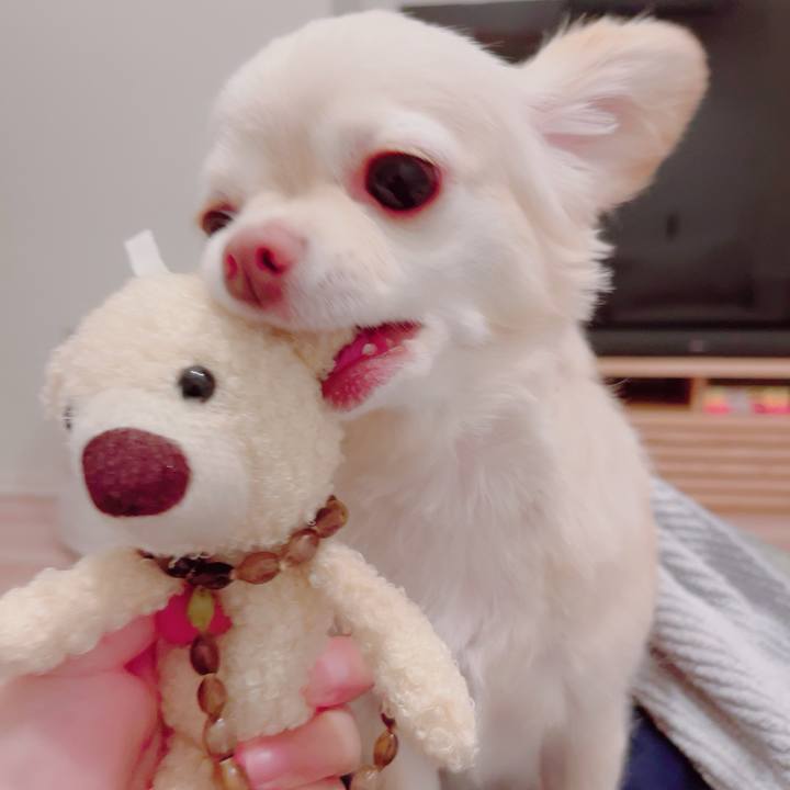 86861c3f 3378 447e 83b0 5232a5859cd1 1694688885339