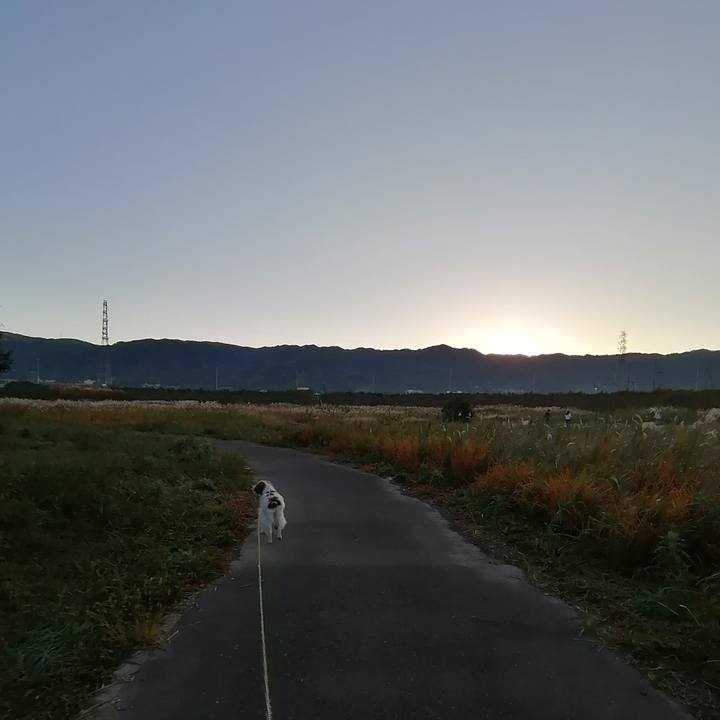 8686a244 4d0b 49aa 8d05 e74f250bb889 1606175944561