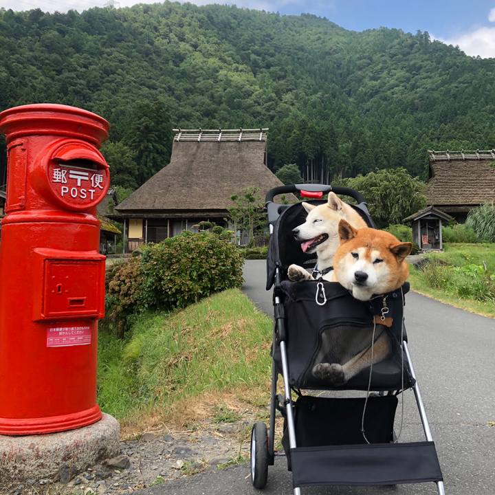 8686ad3a 20ae 427b 9428 5465060b882e 1599000161096