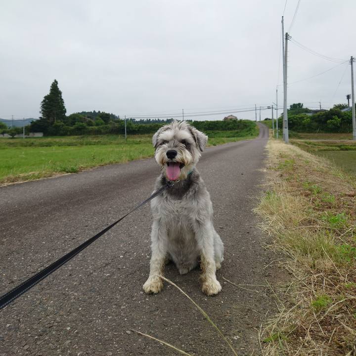 8686b876 d268 4527 99db 5a0e3ae8aba4 1749510201595