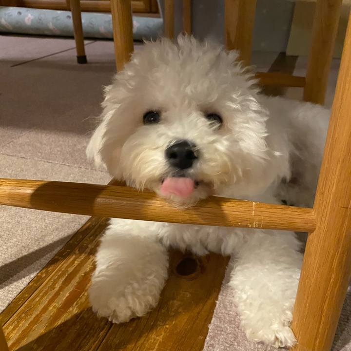 8686f3d2 8a3d 480c b802 b4586effb8f4 1758187485452