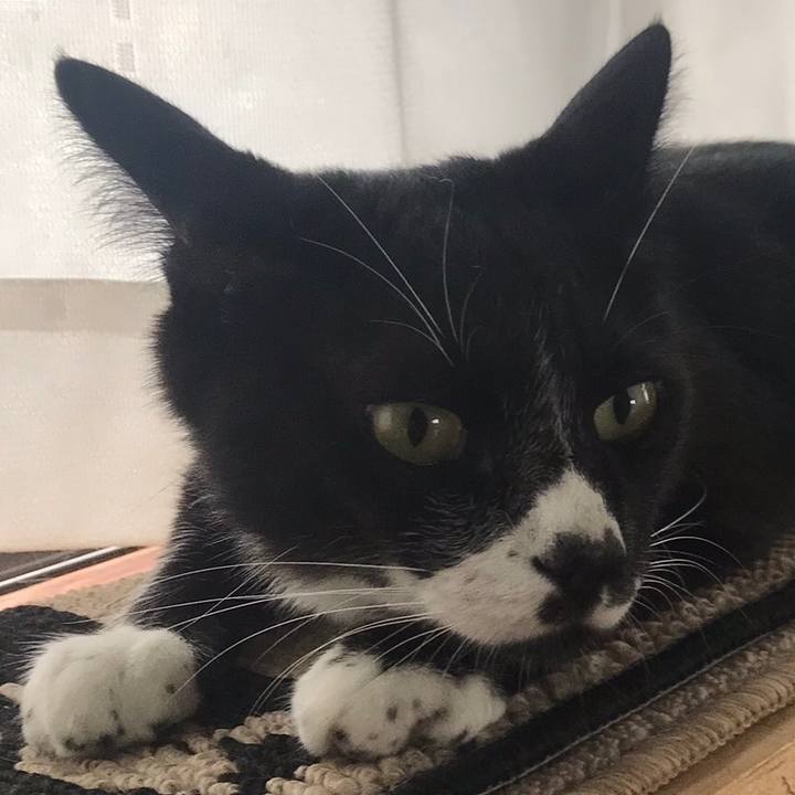 86872793 728c 4229 91e1 aca5cf5d3fce 1596079580286