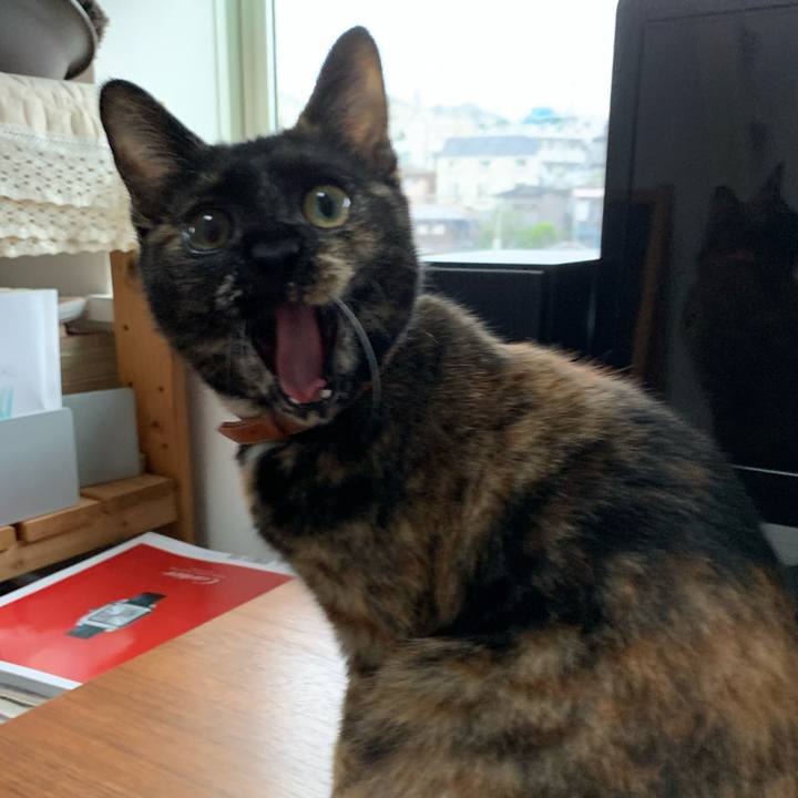 86873e40 49d3 4365 98eb fdce061d86c4 1572307249123