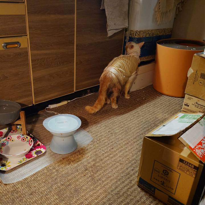 868740d6 c1b0 446b a29e d1f52f76ae11 1768999142814