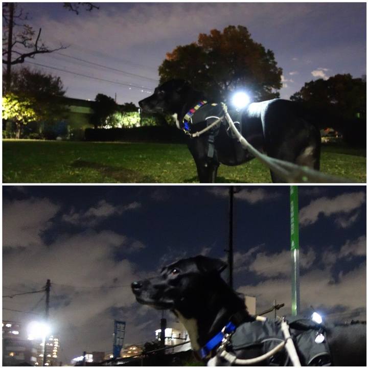 86875958 c227 49bd 8642 14f242f4fe1a 1637662603678