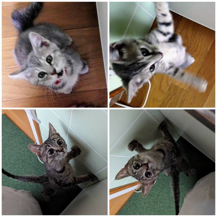 86877289 fa52 4b98 b9b1 e248258d9c6d 1702875296287