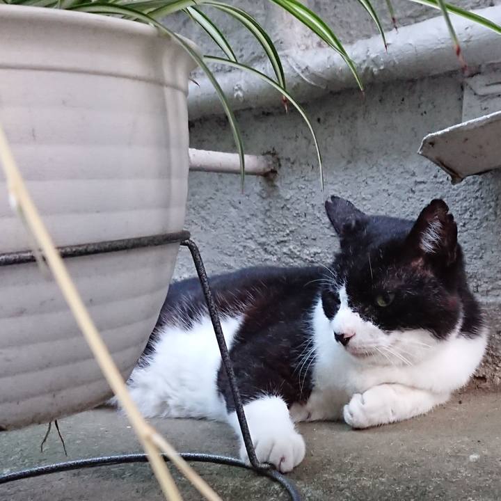 8687cc5d 396e 41d4 9854 411801bce13f 1692449736125