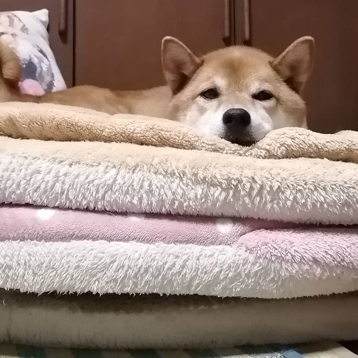 8687cd69 1e76 4a13 a094 eefc775b82b7 1595760664080