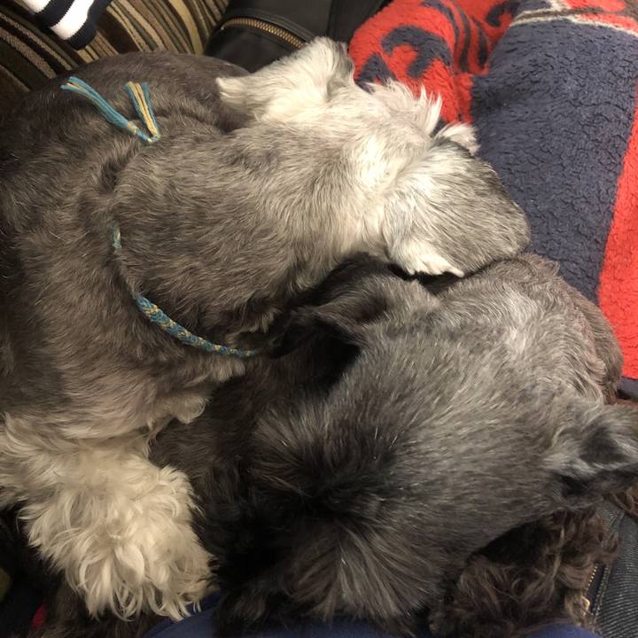 8687e826 df0b 4559 97fe f3d7c1c02cec 1544235107572