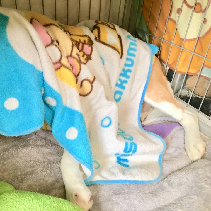 86880e5a 75b4 4624 a1bb a66cf2ad16e3 1546921100705