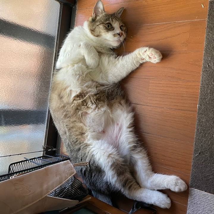 868829e3 1a4c 4566 bf3f b5a26f29ef63 1726300090022