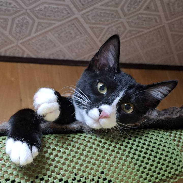 8688381a aa91 4797 9343 81f3b7f10eca 1754395731204