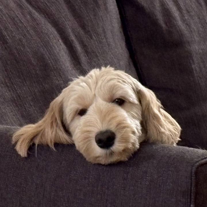 86885d51 4090 481a 9f60 d85d750f7eb6 1758081126780