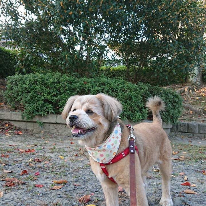 86890f5a bf97 4dc7 965d 6ebcae5c23fd 1602544488557